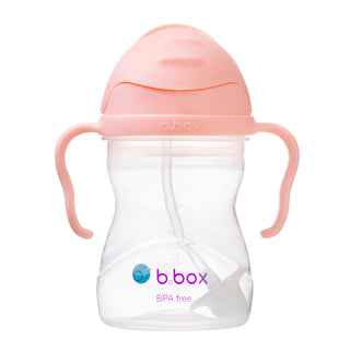 2 pack sippy cup - tutti frutti + boysenberry