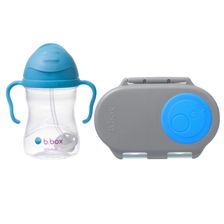 sippy cup blueberry + snackbox blue slate