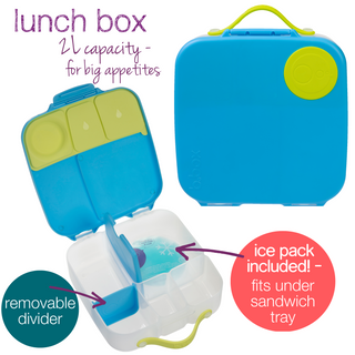 lunch time 3-pack - ocean breeze