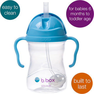 sippy cup blueberry + snackbox blue slate