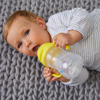 sippy cup lemon + snackbox lemon twist